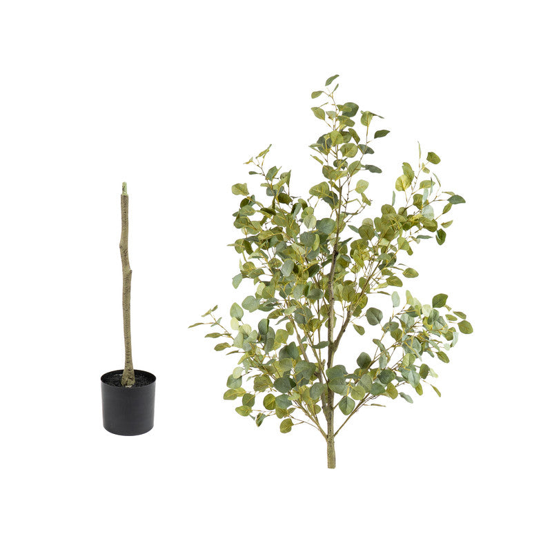 Artificial Eucalyptus Tree 185cm